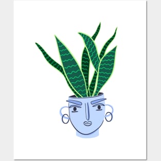 Sansevieria houseplant Posters and Art